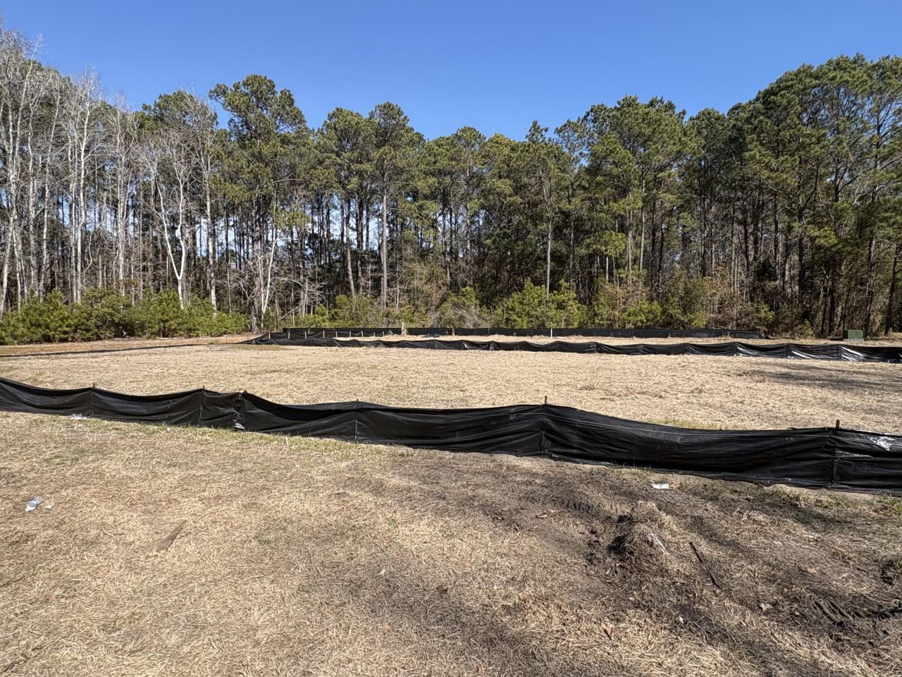 3864 Abe White Road Photo 7