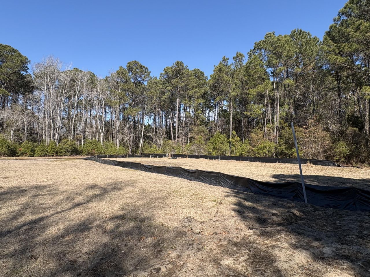 3864 Abe White Road Photo 8