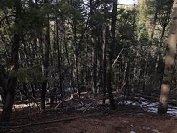 157 Gitchigoomee Trail, Woodland Park, CO 80863