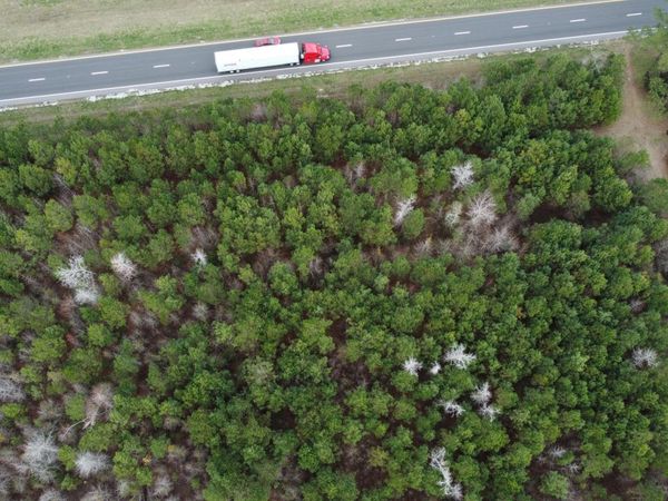 Near 18951 Andrew Jackson Highway E, Bolton, NC 28423