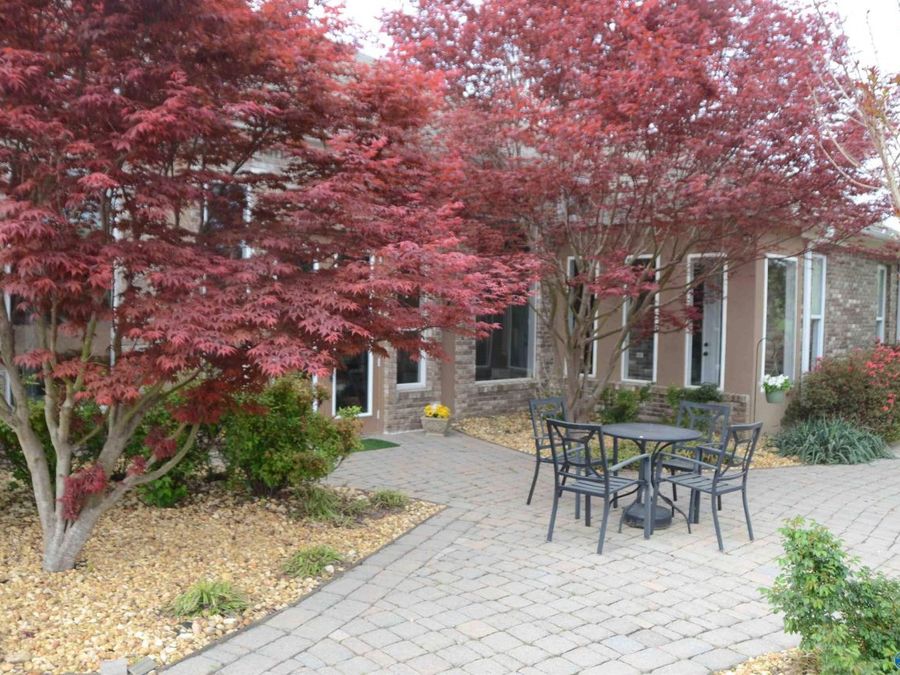 Property Image 38