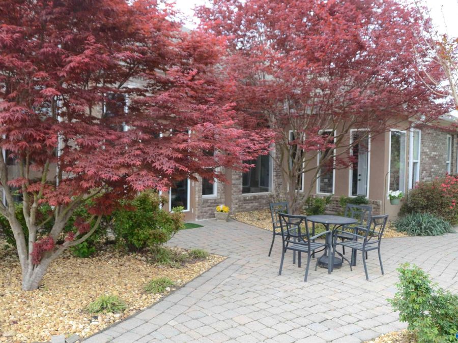 Property Image 45