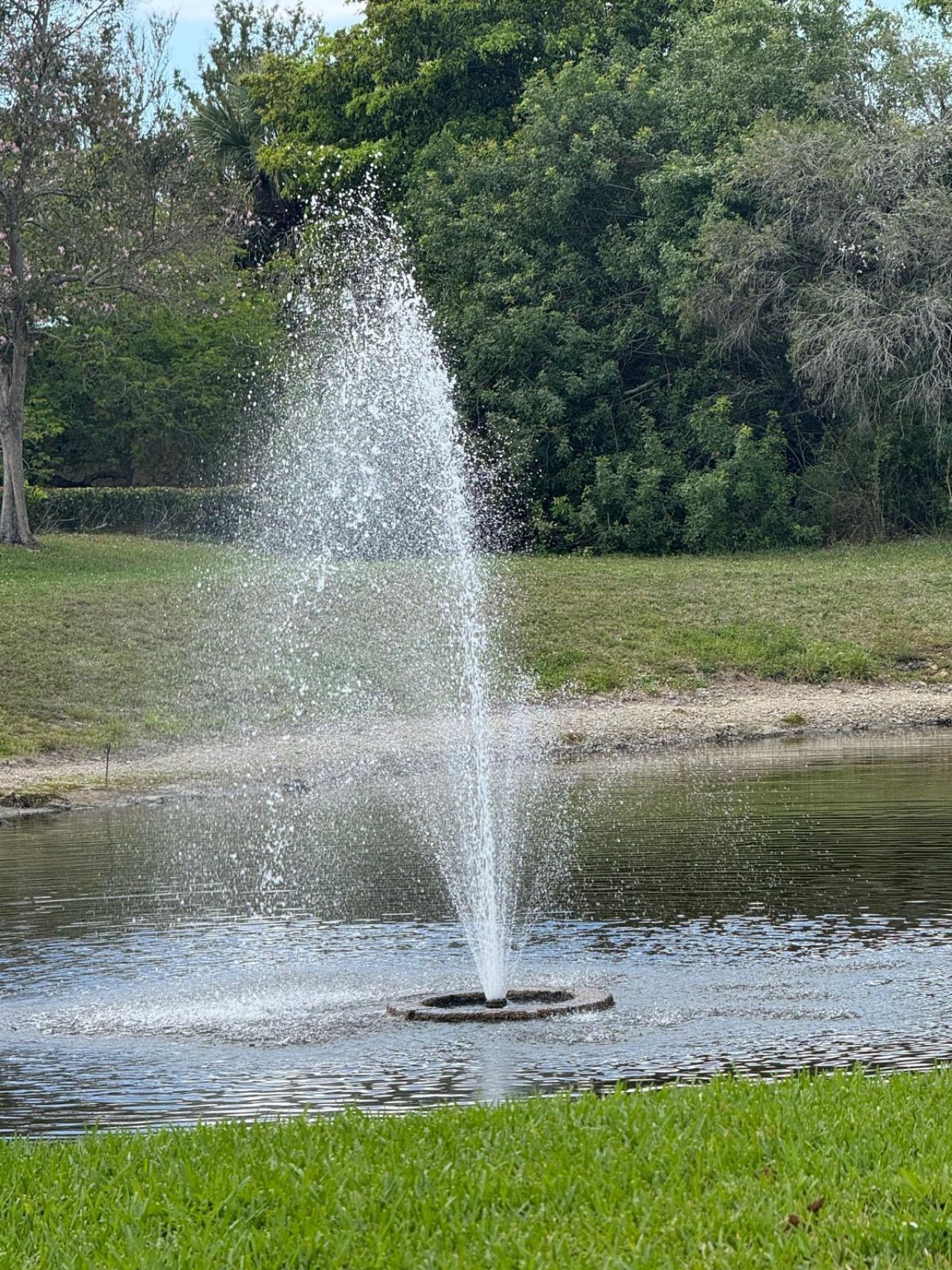 10851 Palm Ridge Lane, Tamarac, FL 33321 Photo