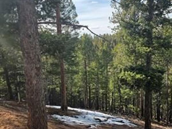 307 Tillicum Trail, Woodland Park, CO 80863