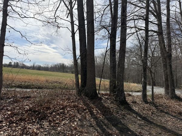 Coleman Cliff, Frankford, WV 24938