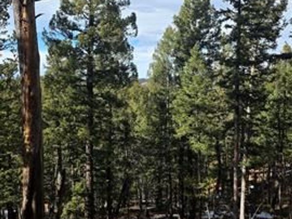 321 Tillicum Trail, Woodland Park, CO 80863