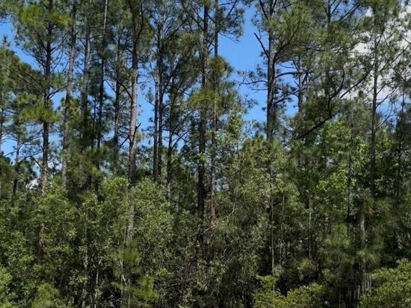 510 HIDDEN PALMS DRIVE , DAVENPORT, FL 33897