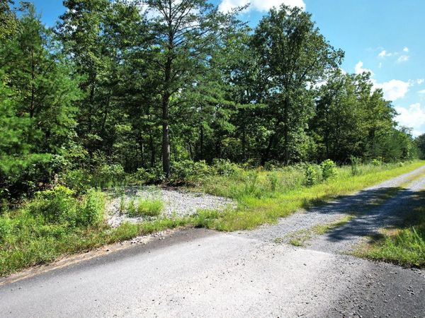 0 Big Bluff View Road , Pikeville, TN 37367