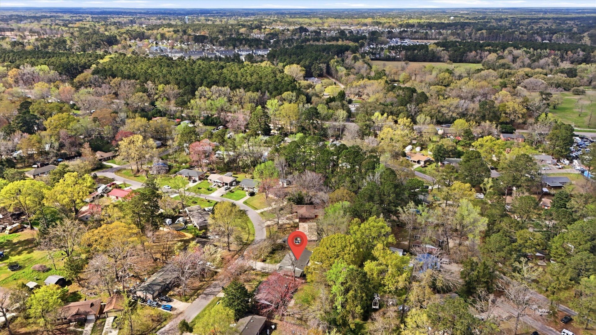 221 Froman Drive Photo 31