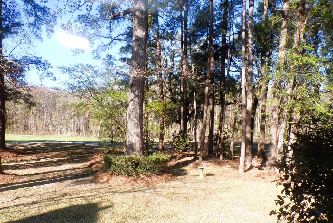 4036 Plantation House Road Photo 52