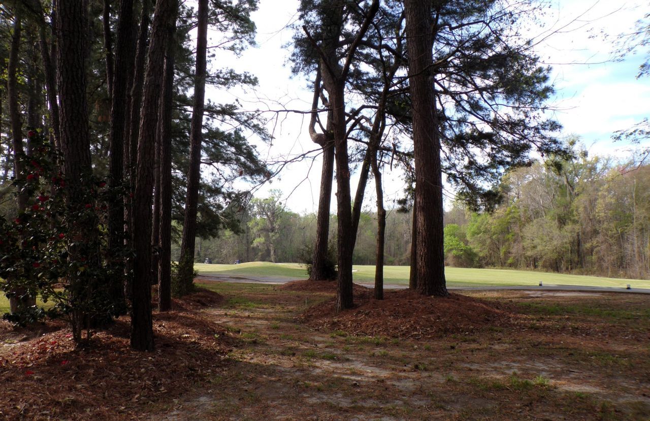 4036 Plantation House Road Photo 67