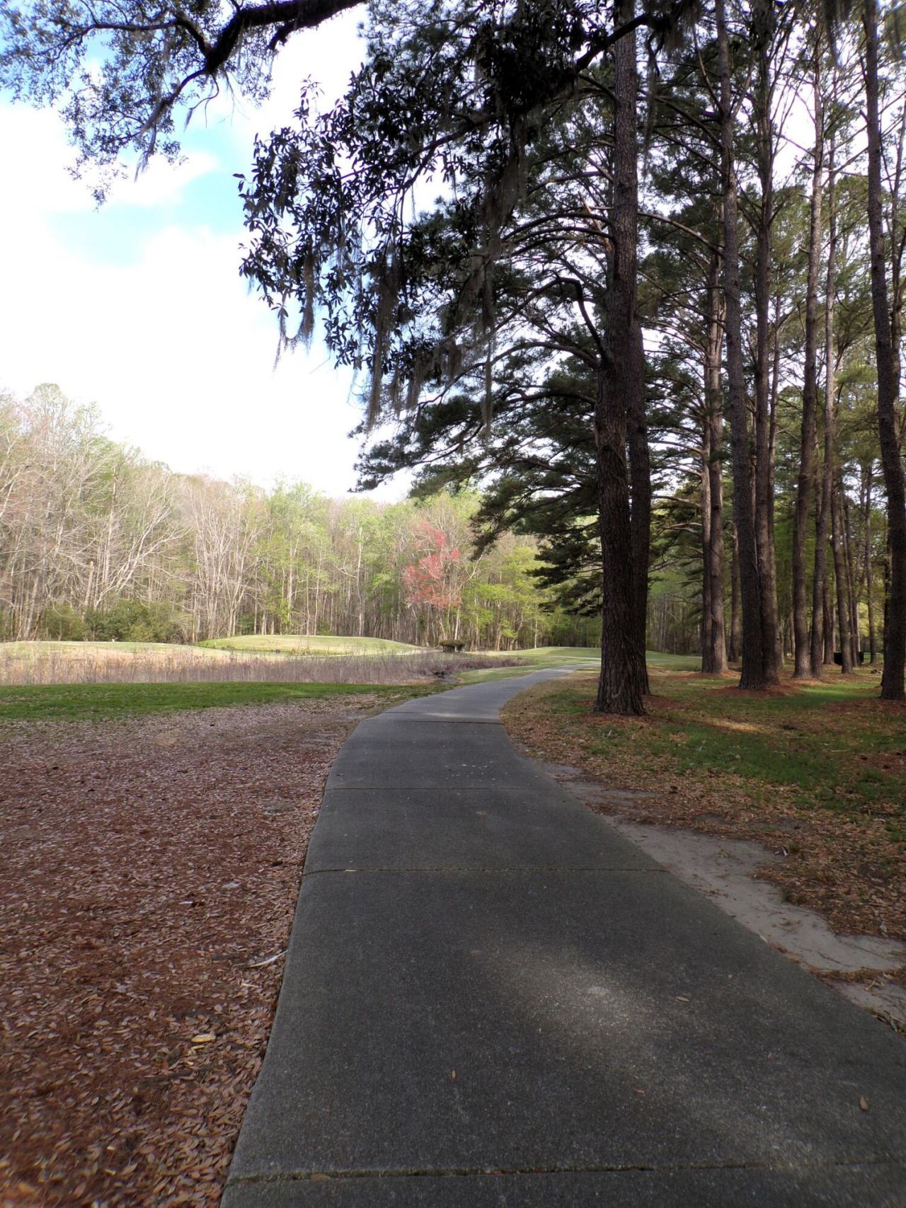 4036 Plantation House Road Photo 68