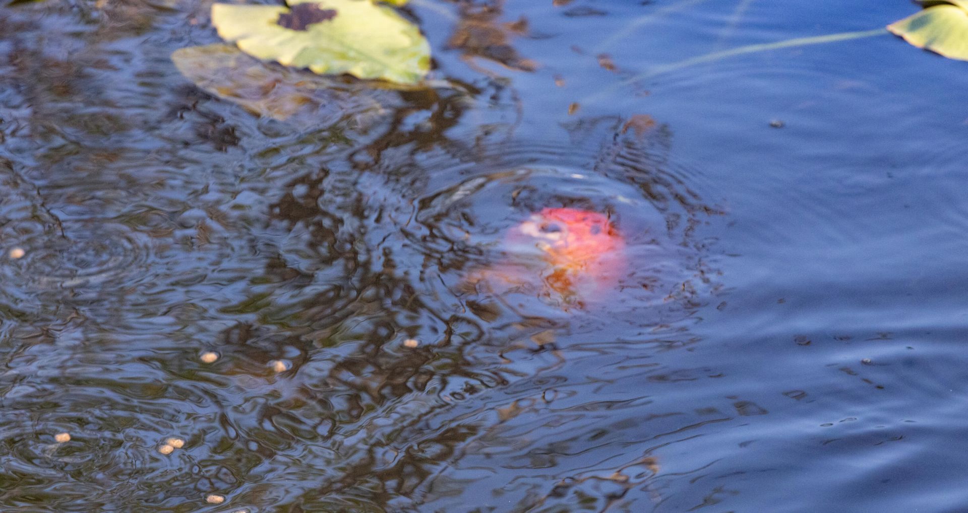 32801 Us-441, Unit 43, Okeechobee, FL 34972 Photo