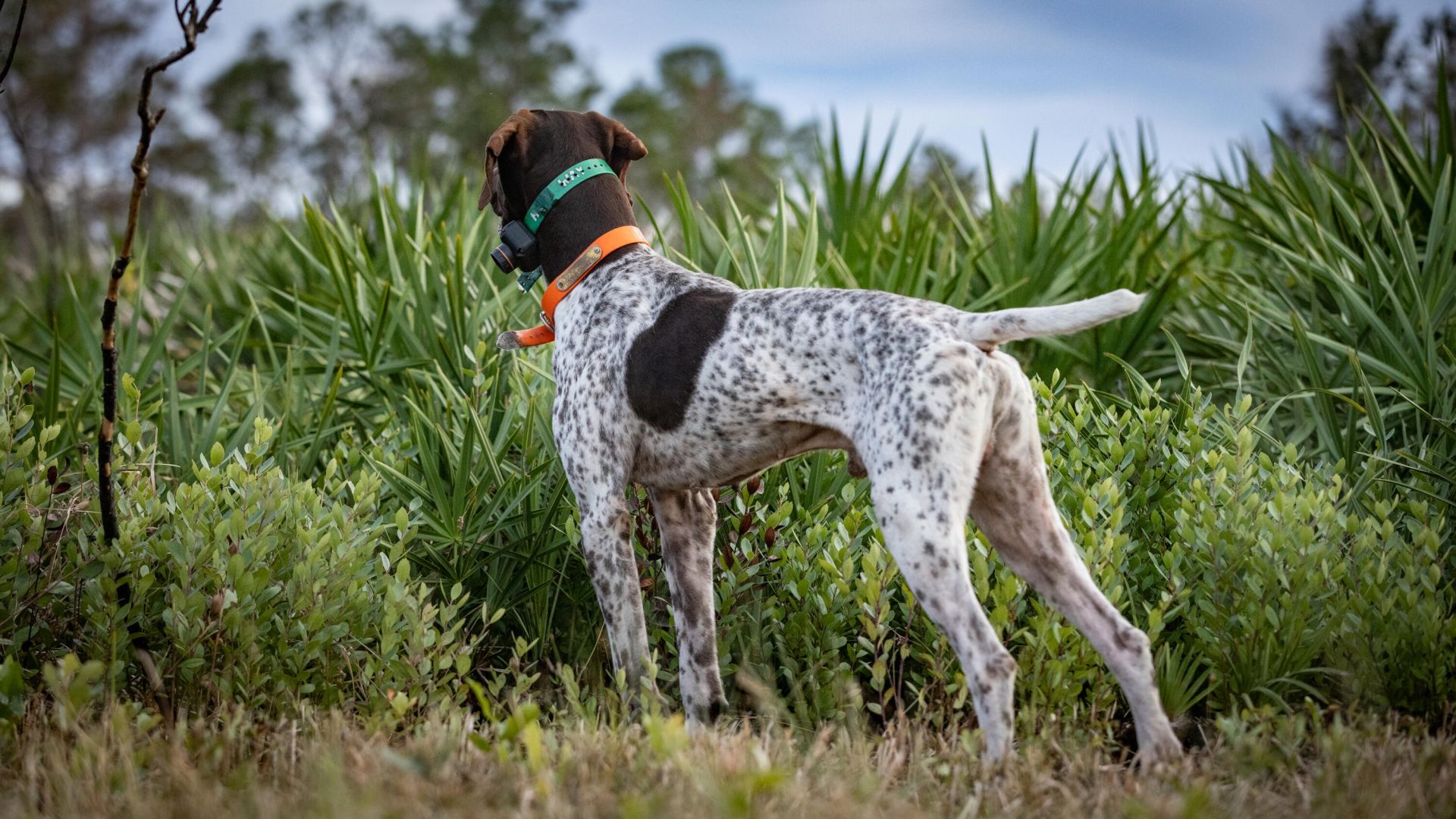 32801 Us-441, Unit 43, Okeechobee, FL 34972 Photo