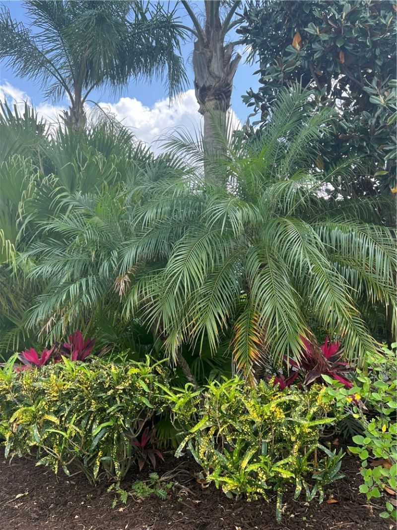 923 Evergreen Street, Barefoot Bay, FL 32976 Photo