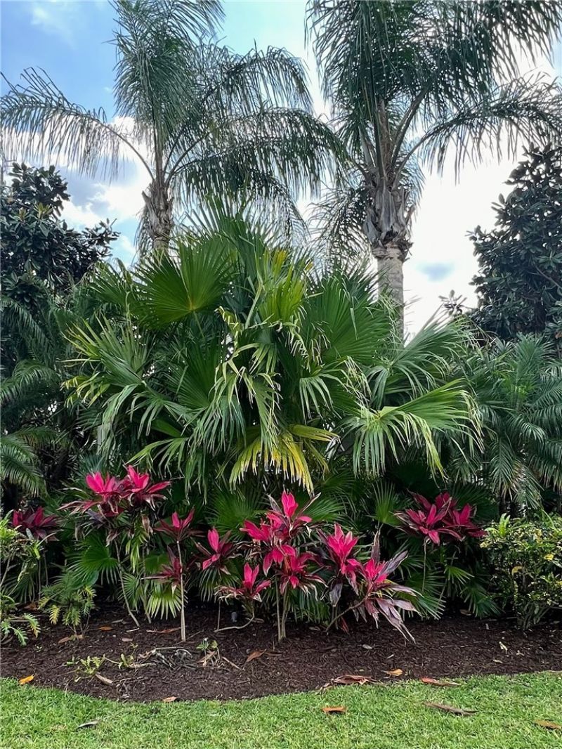 923 Evergreen Street, Barefoot Bay, FL 32976 Photo