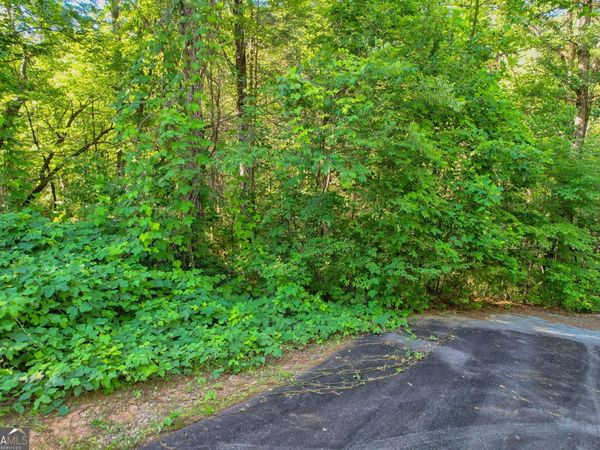 LOT 112 Timber Creek Drive, Clayton, GA 30525