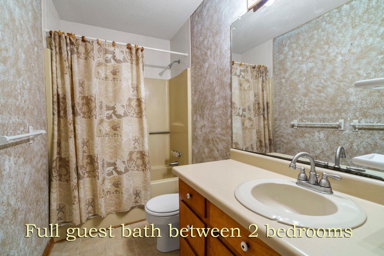 209 Jungle Road Photo 38