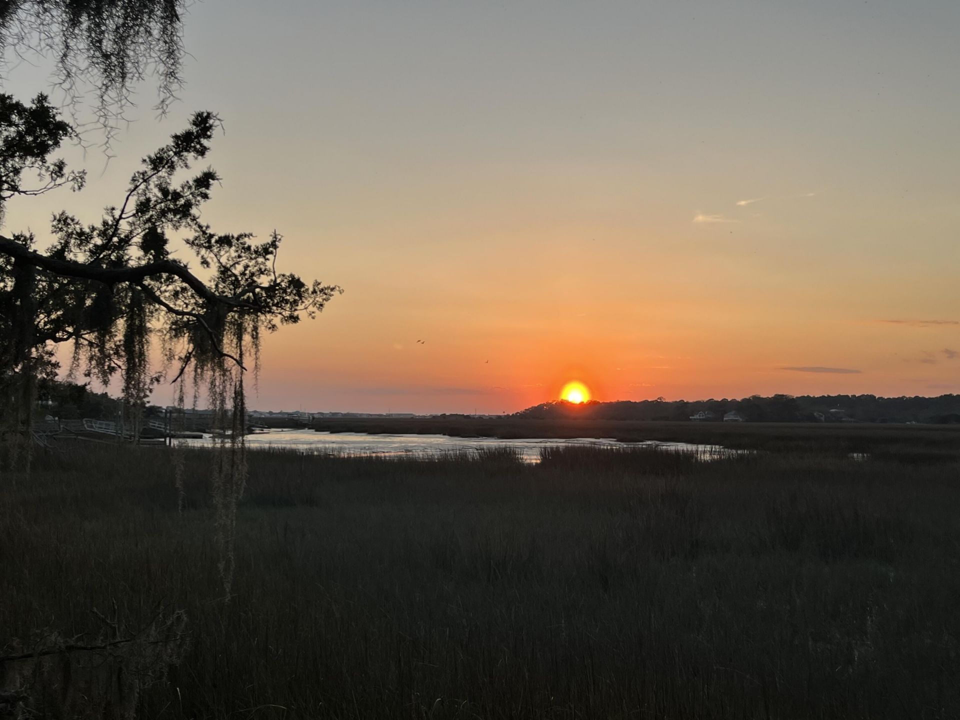 209 Jungle Road Photo 5