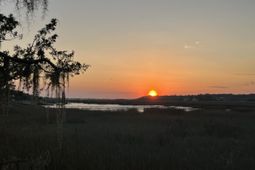 209 Jungle Road photo 4