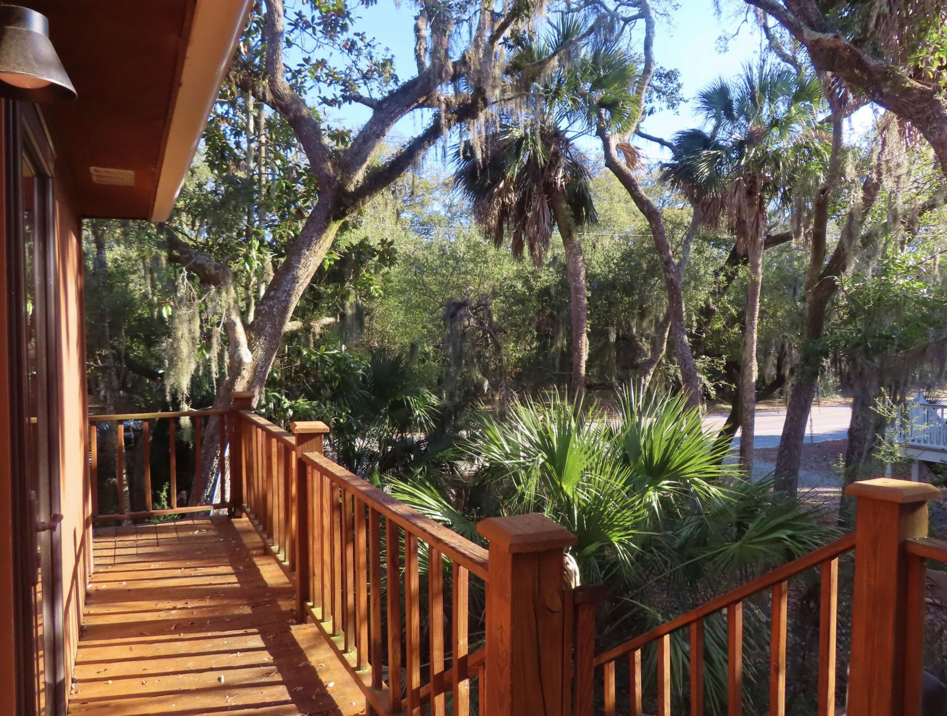 209 Jungle Road Photo 6