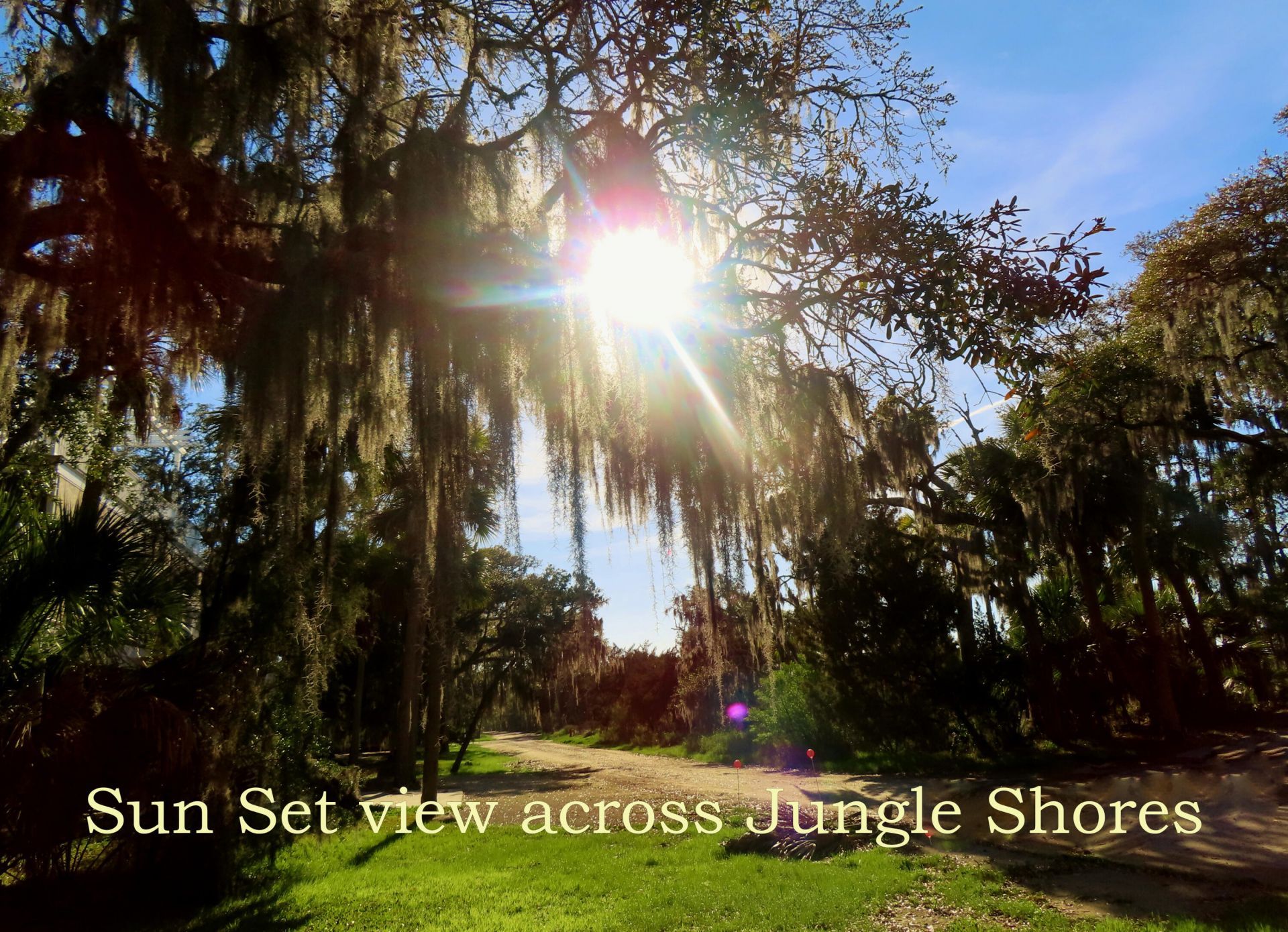 209 Jungle Road Photo 7
