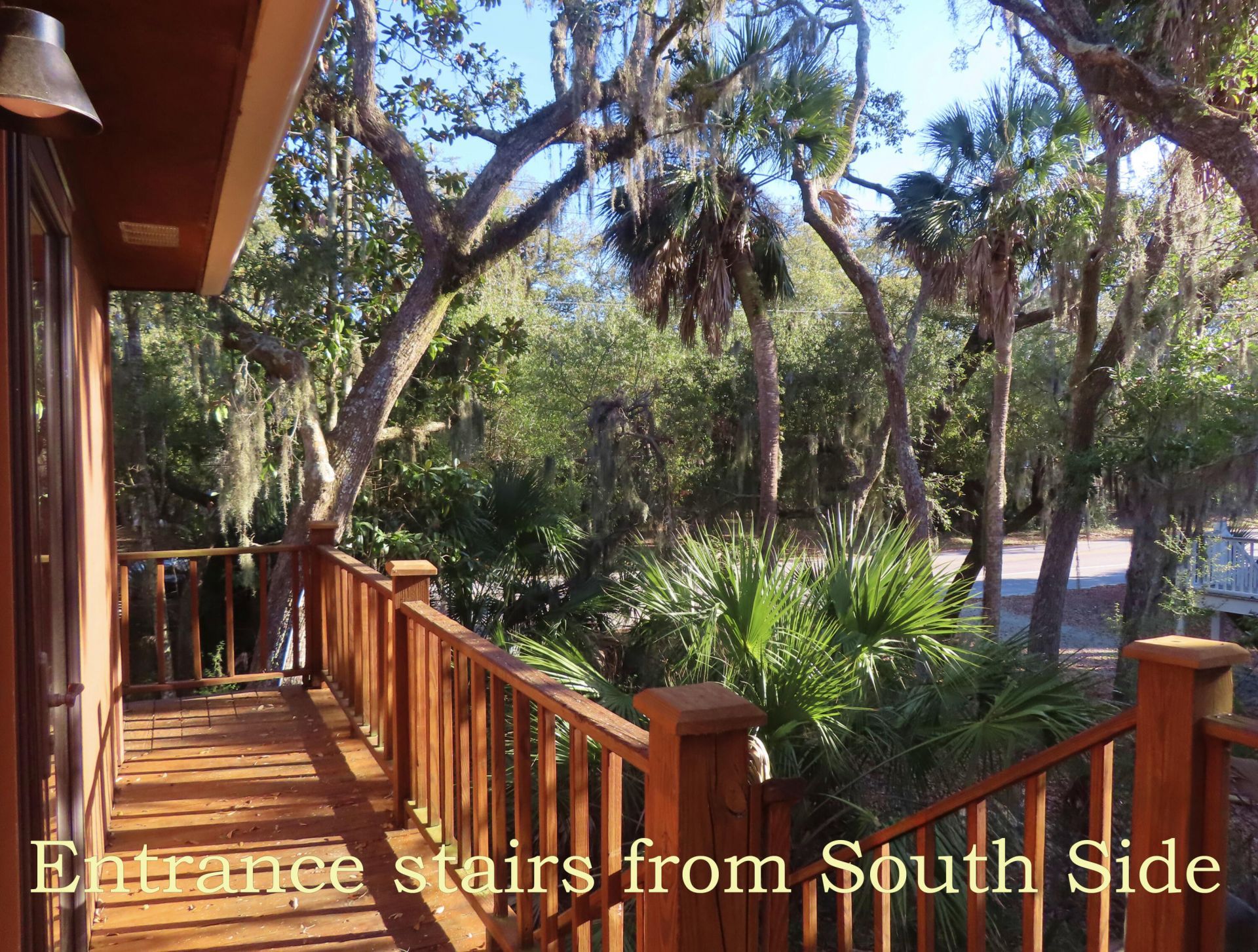 209 Jungle Road Photo 8