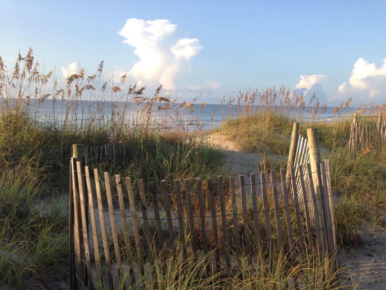 209 Jungle Road Photo 8