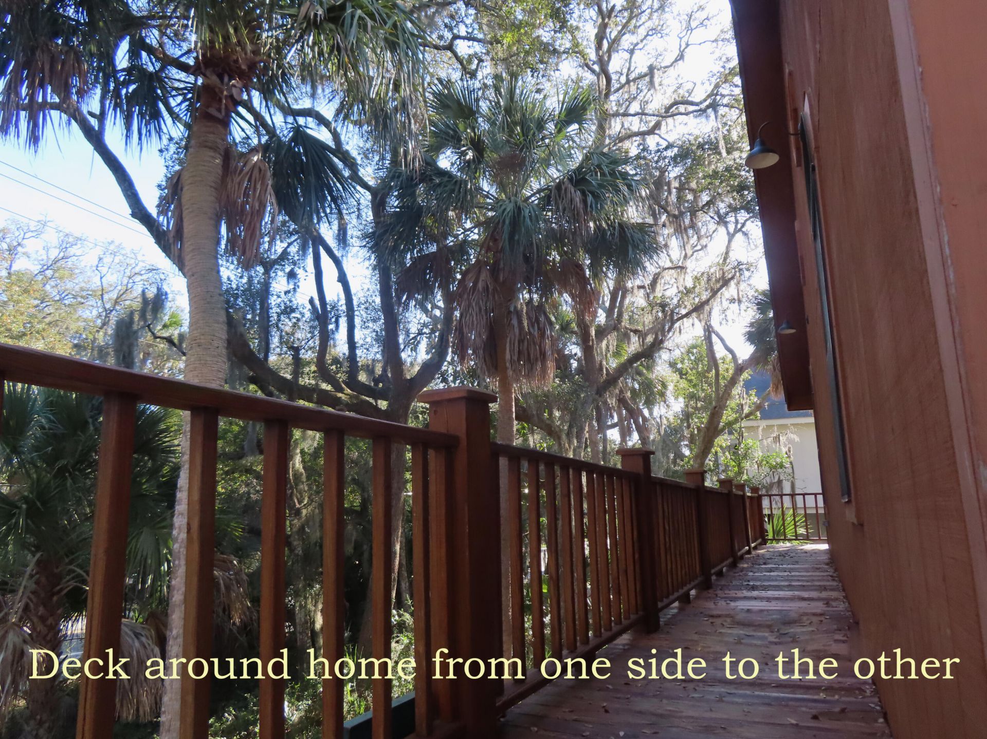 209 Jungle Road Photo 9