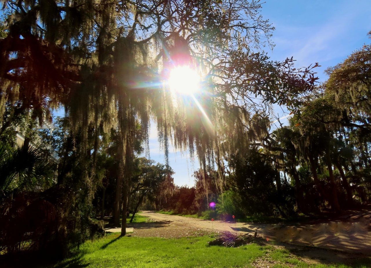 209 Jungle Road Photo 9