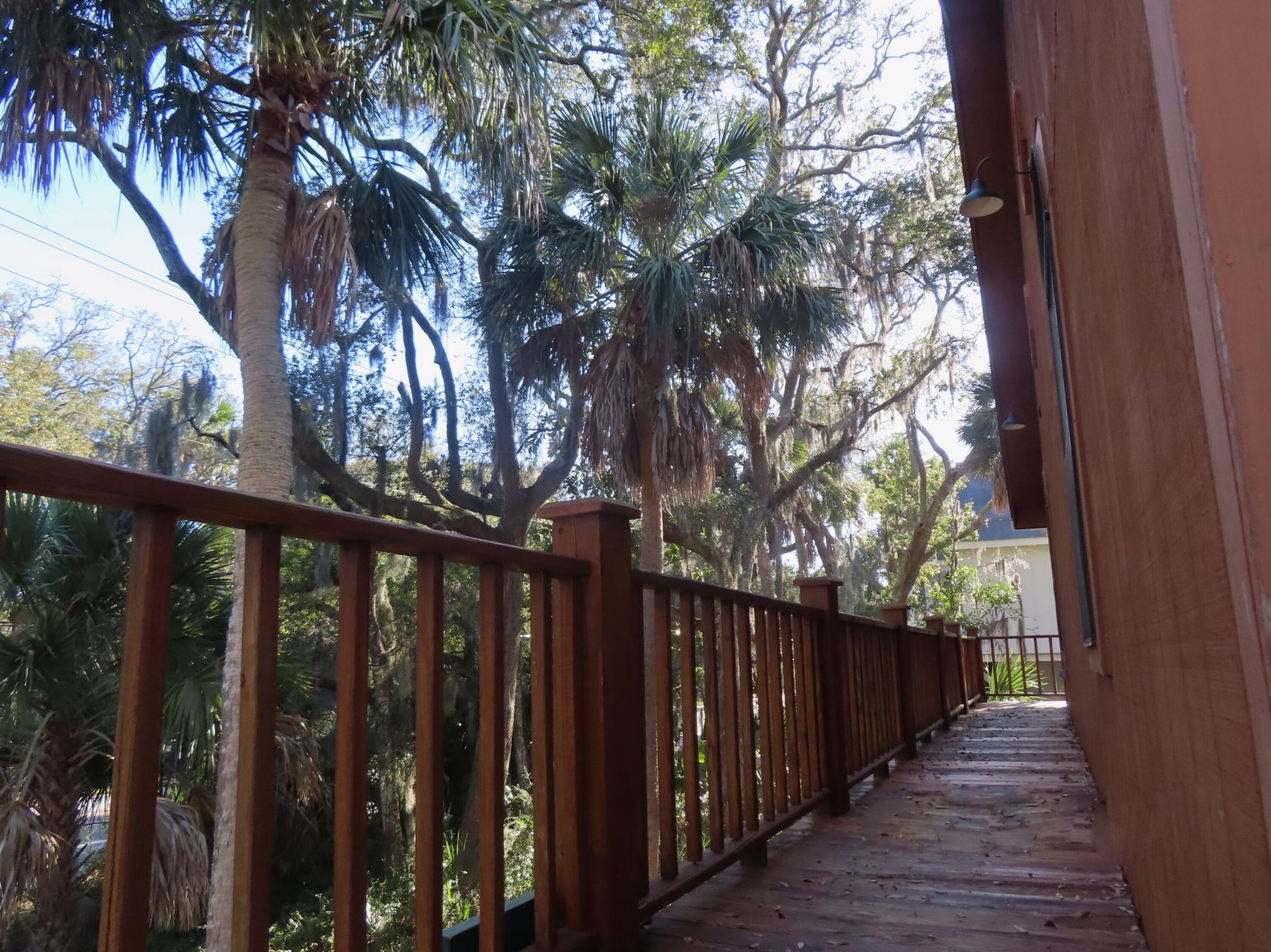 209 Jungle Road Photo 9