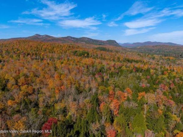 Tbd Off North Lake Road, Haines Falls, NY 12436