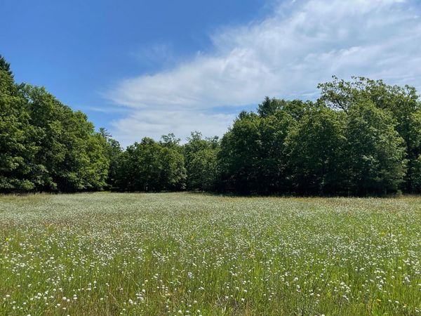 10652 N River Road, Unit E, Irons, MI 49644