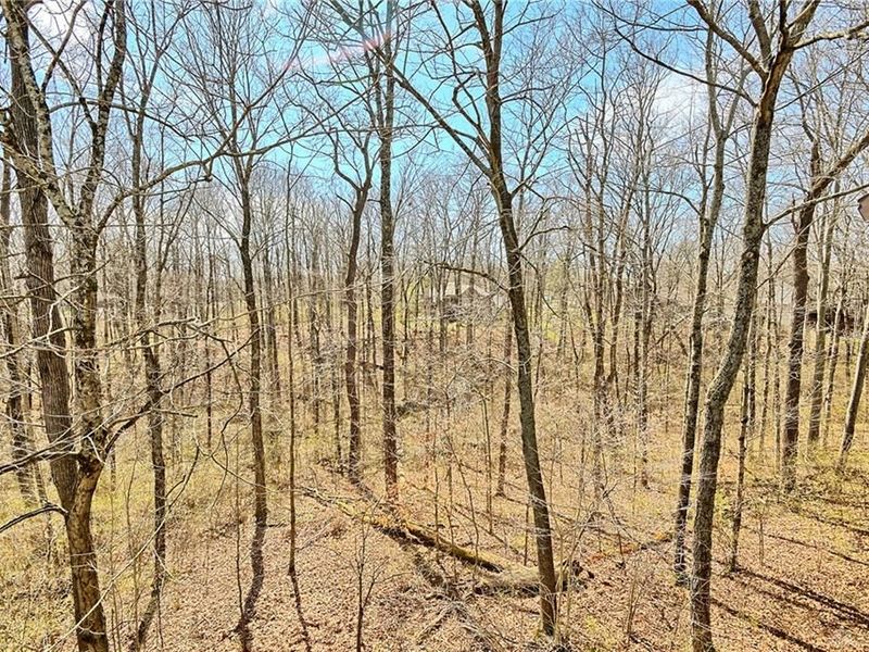 8711 Nicole Lane, Clearcreek Township, OH 45066 Photo 55