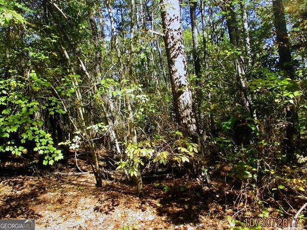 1404 Northgate Drive, Villa Rica, GA 30180