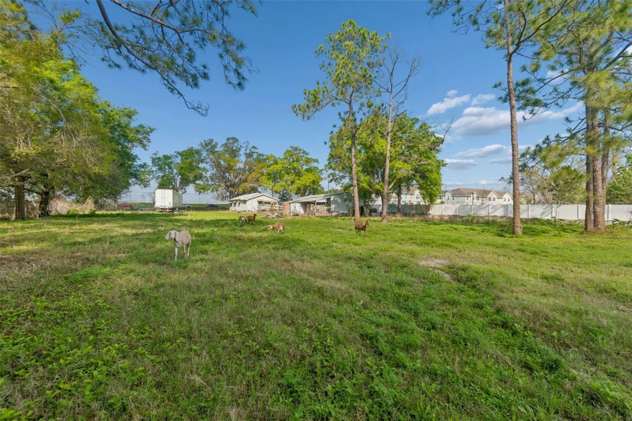 6213 Orient Road , Tampa, FL 33610 Photo