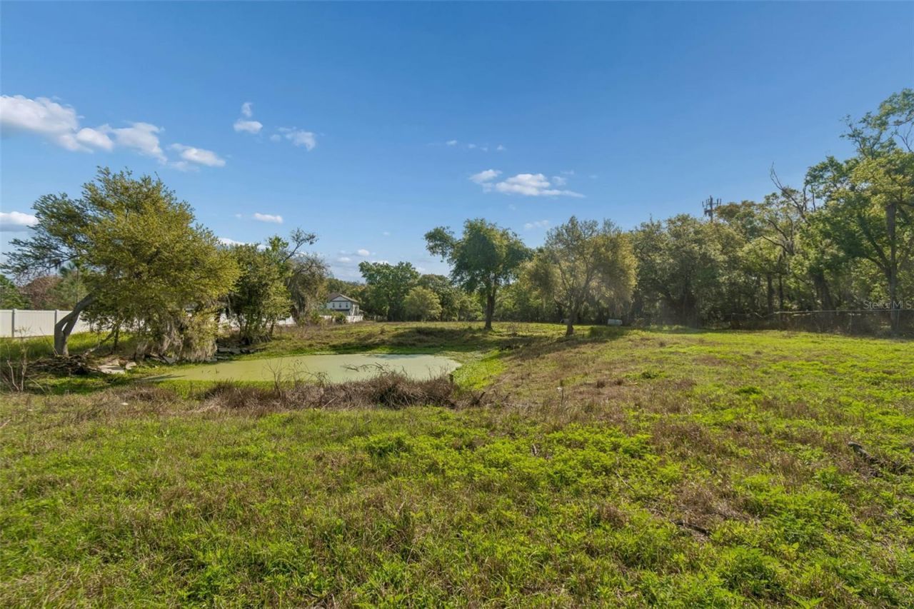 6213 Orient Road , Tampa, FL 33610 Photo