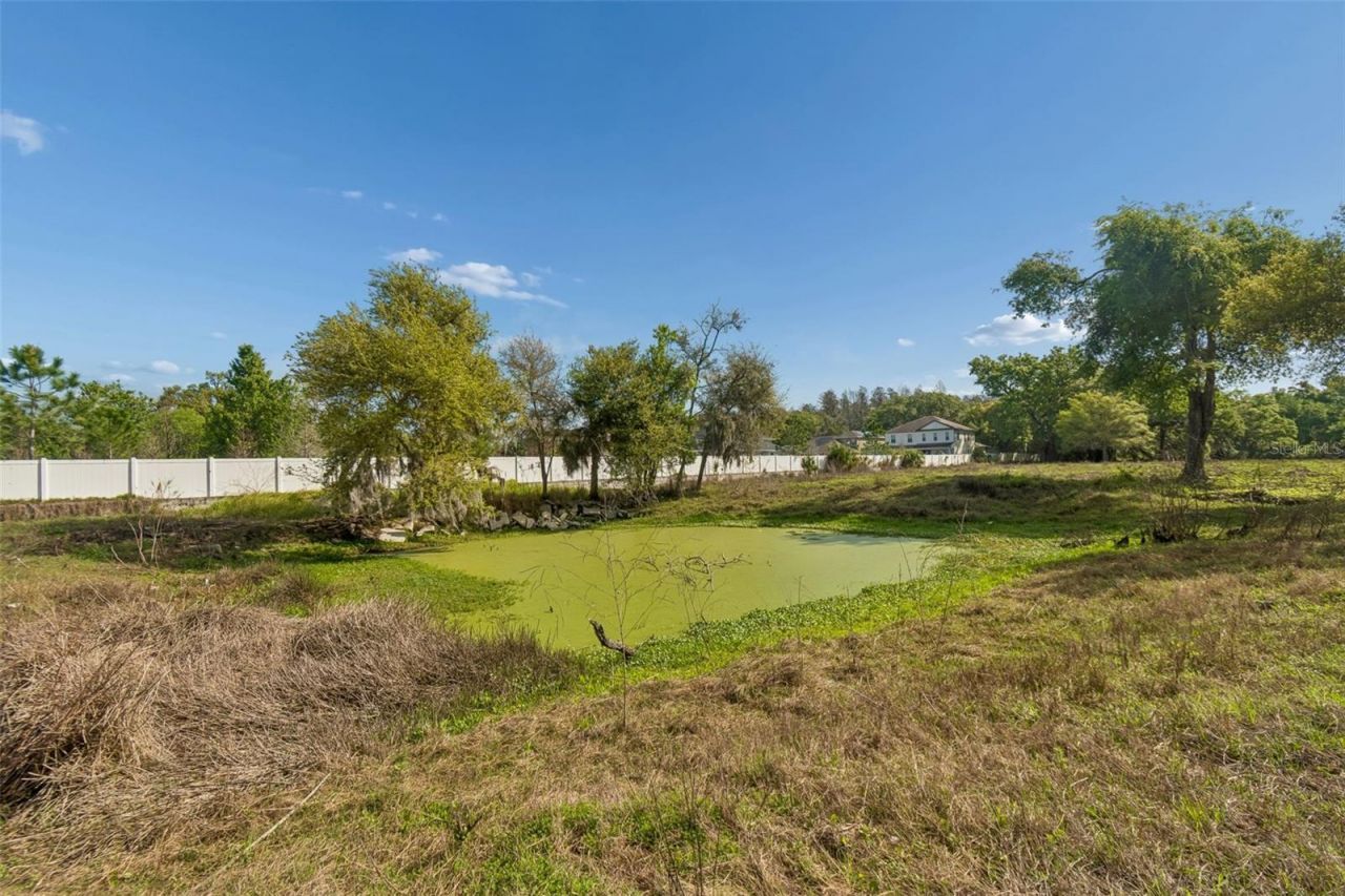 6213 Orient Road , Tampa, FL 33610 Photo