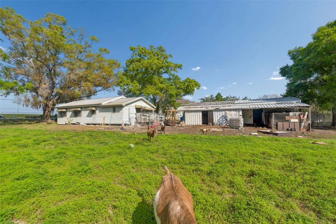 6213 Orient Road , Tampa, FL 33610 Photo