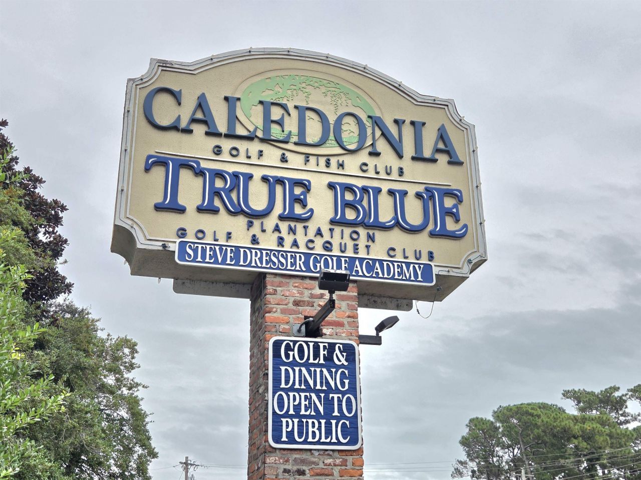 1125 Blue Stem Dr. Photo 31