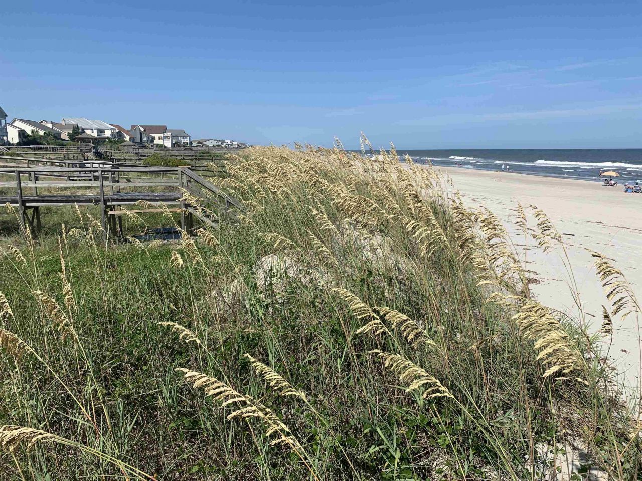 1125 Blue Stem Dr. Photo 32