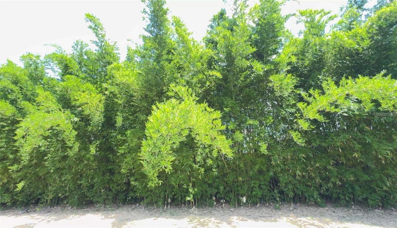 4925 N Us Highway 441, Ocala, FL 34475 Photo