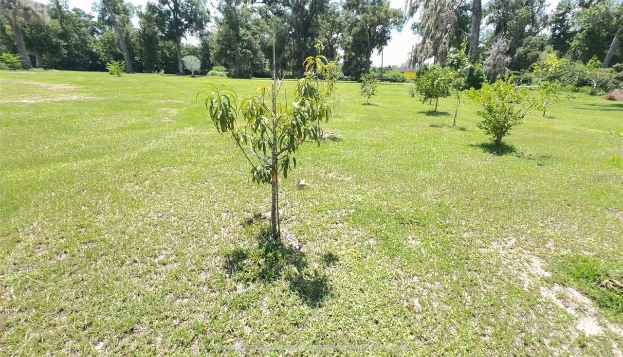 4925 N Us Highway 441, Ocala, FL 34475 Photo