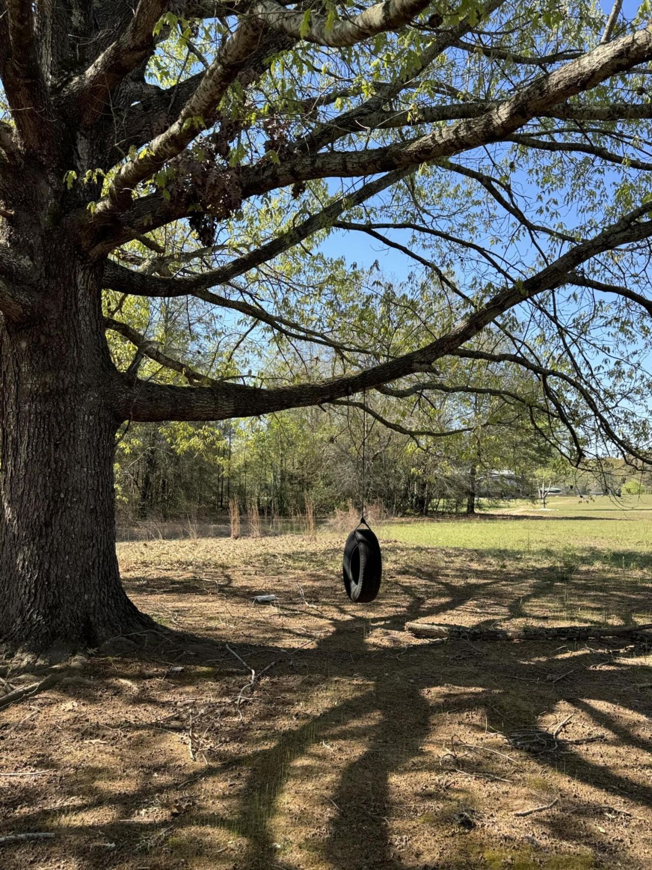 1830 Goslin Pond Rd Photo 2