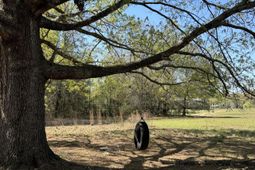 1830 Goslin Pond Rd photo 4