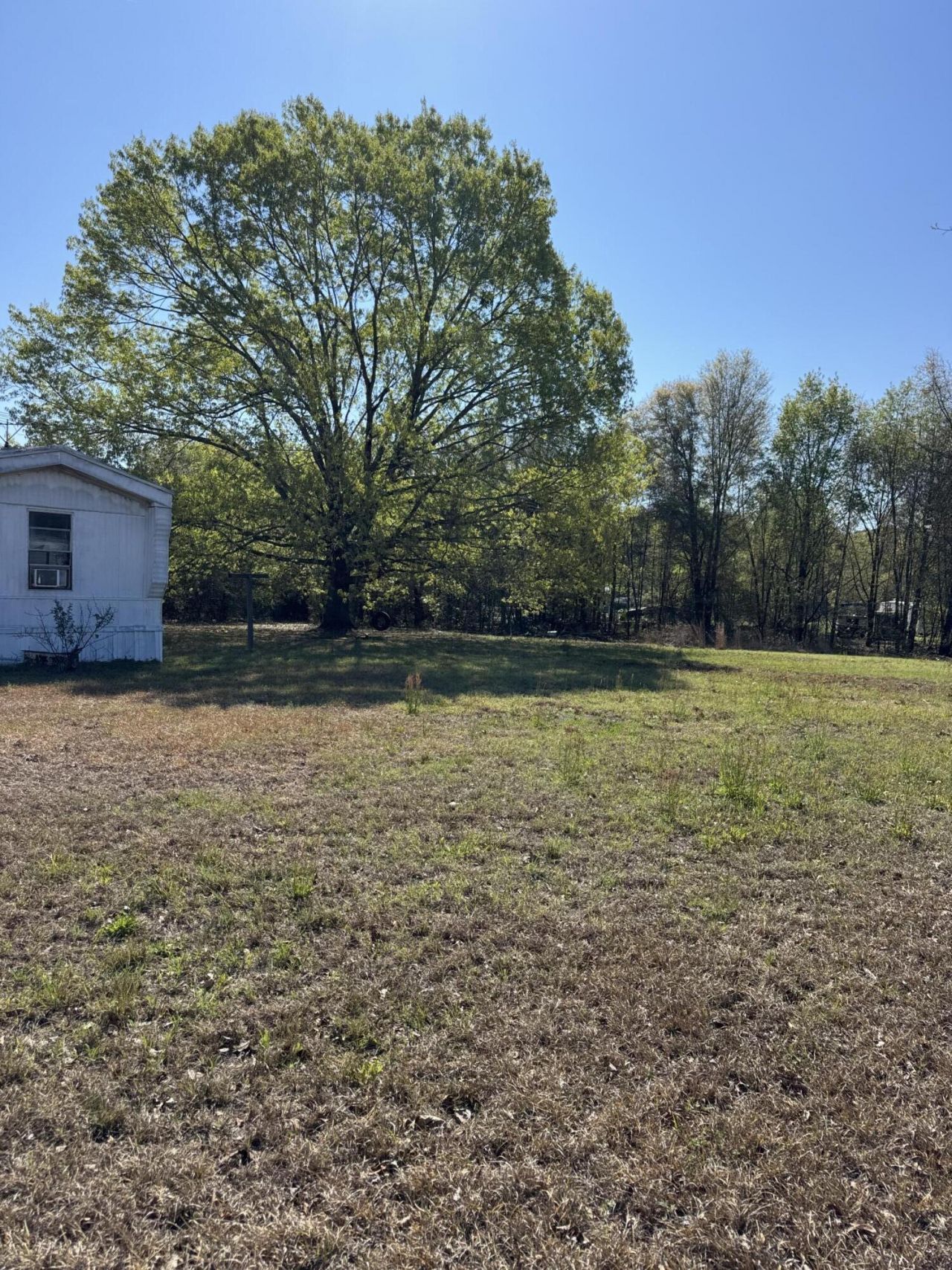 1830 Goslin Pond Rd Photo 3