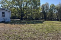 1830 Goslin Pond Rd photo 4