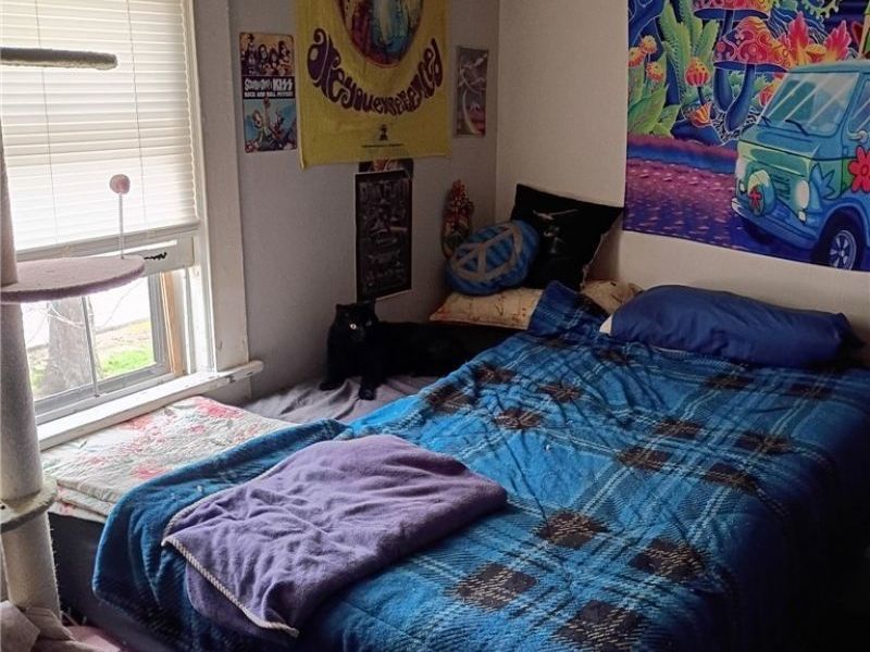 11316 Florian Avenue, Cleveland, OH 44111 Photo 16