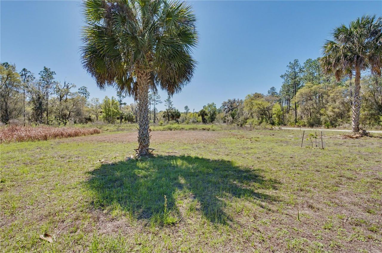 19511 SE 110th Avenue , Inglis, FL 34449 Photo