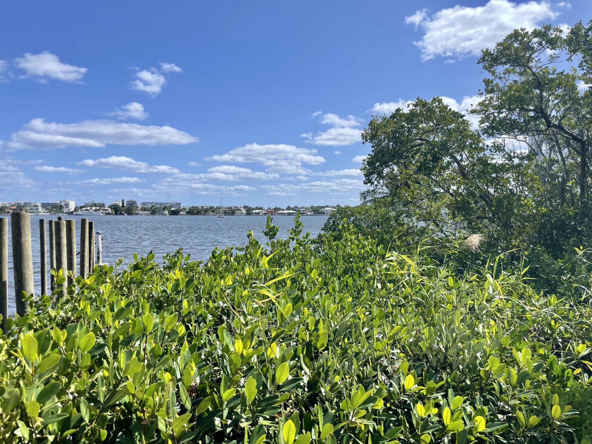 720 N Dixie Highway, Unit 604, Lantana, FL 33462 Photo